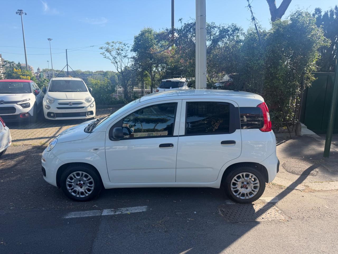 Fiat Panda 1.0 Van cambio manuale clima