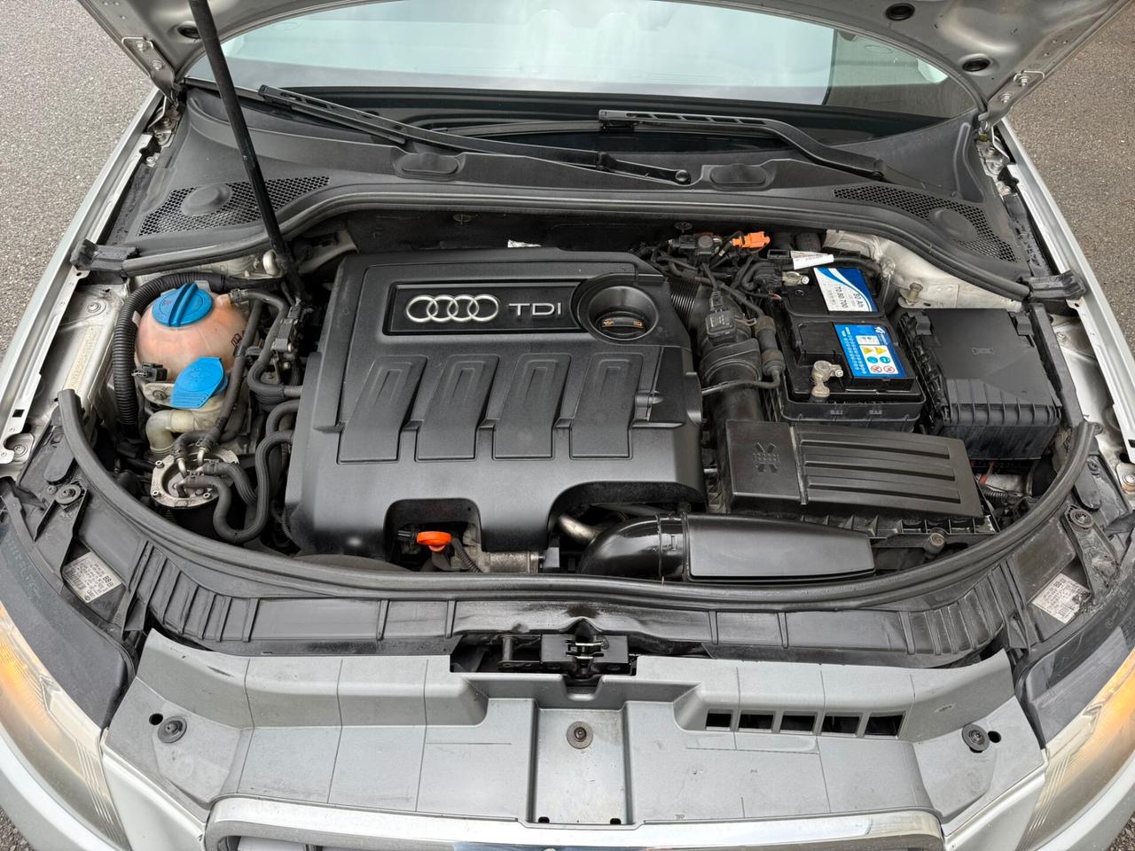 Audi A3 SPB 1.6 TDI 90 CV NEOPATENTATI