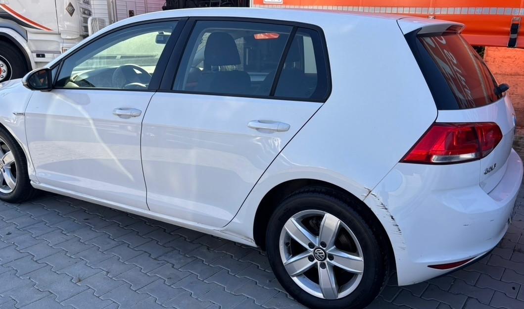 Volkswagen Golf Business 1.4 TGI 5p. Highline BlueMotion