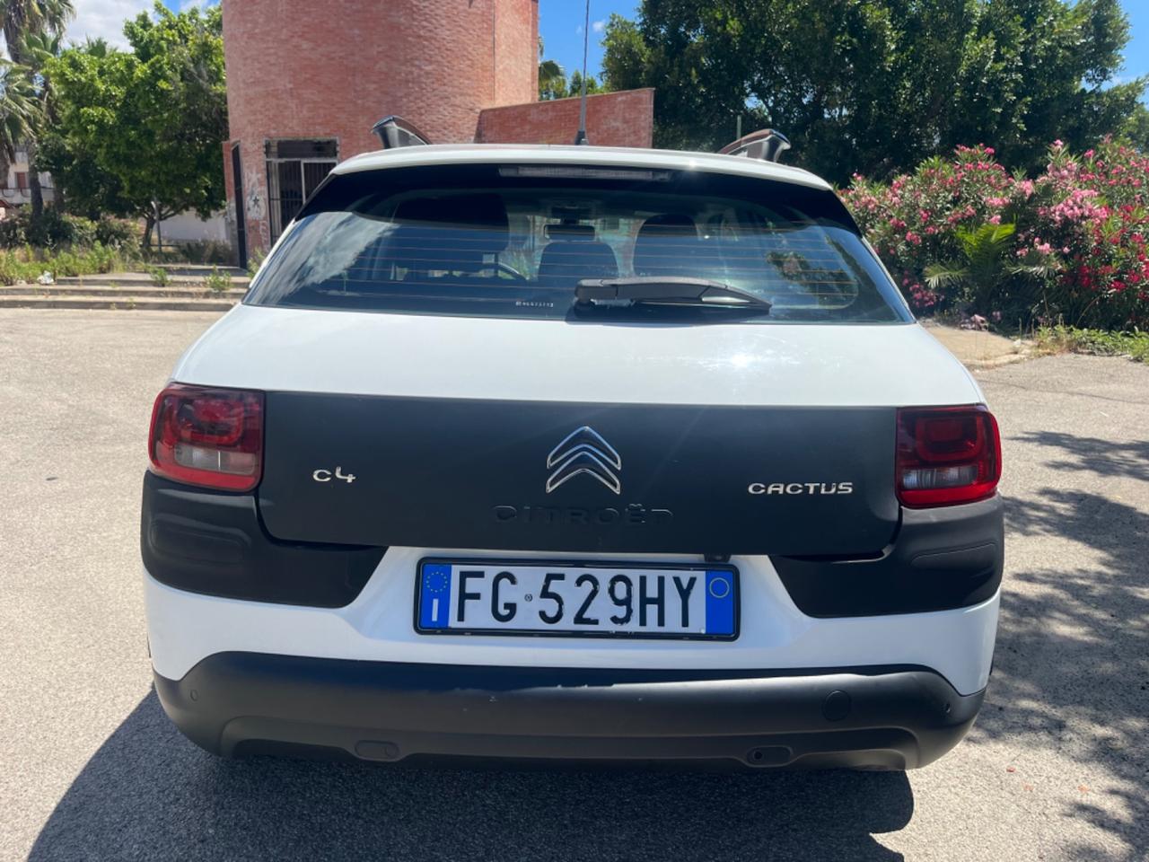 Citroen C4 Cactus BlueHDi 100 Shine