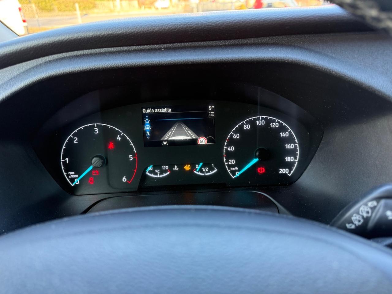 Ford Tourneo Custom 320 2.0 EcoBlue 185CV MHEV PL c/sollev. Tit.