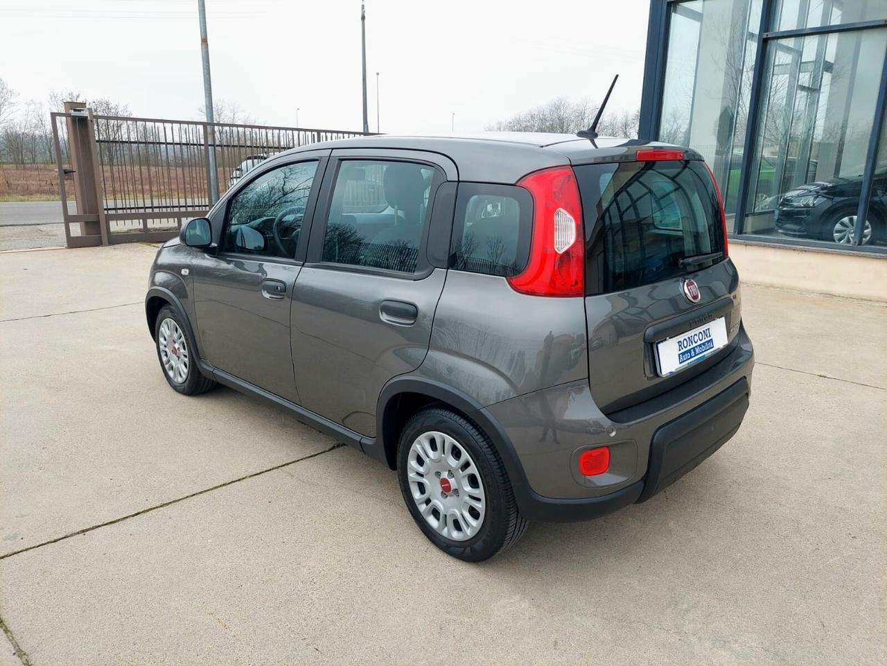 FIAT Panda 1.0 FireFly S&S Hybrid 5 posti - 2023