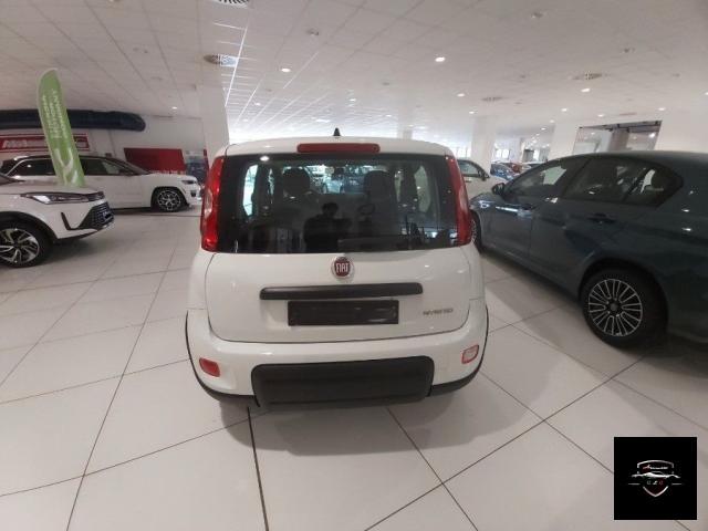 FIAT - Panda - 1.0 FireFly S&S Hybrid