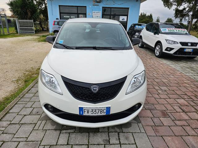 LANCIA Ypsilon 1.2 69 CV 5 porte S&S Elefantino Blu