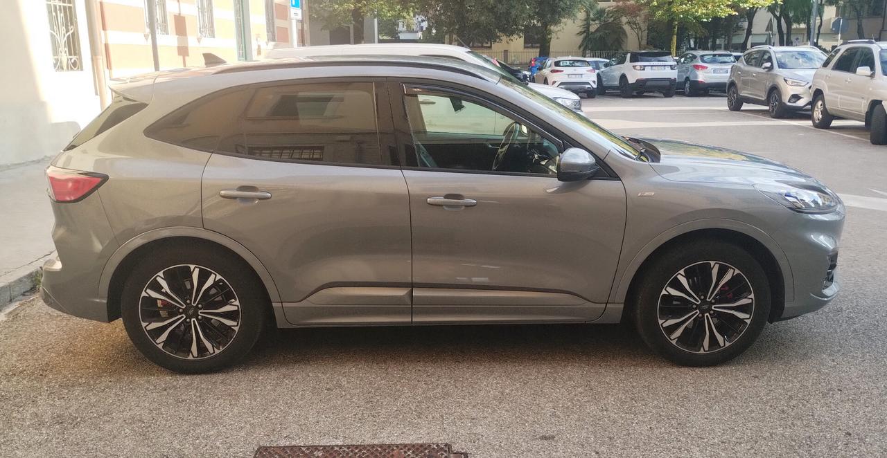 Ford Kuga 2.0 EcoBlue 150CV aut. AWD ST-Line X