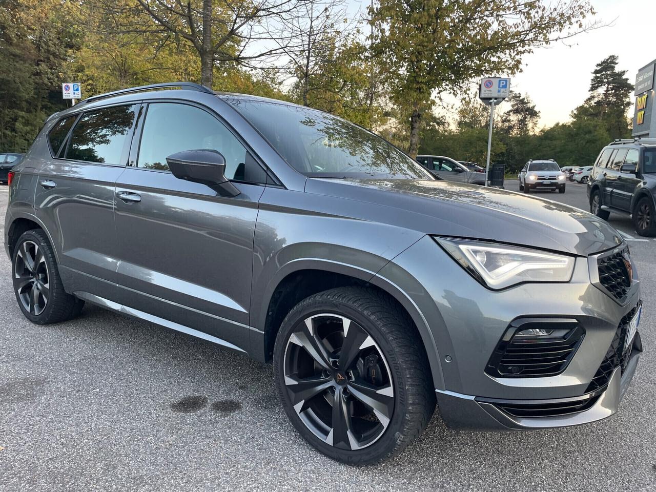 Cupra Ateca 2.0 TSI DSG 4Drive VZ*Automatik*Navi*