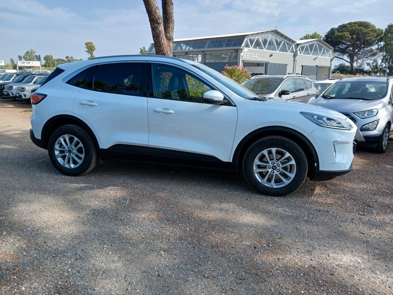 Ford Kuga 2.0 EcoBlue 120 CV aut. 2WD Titanium X