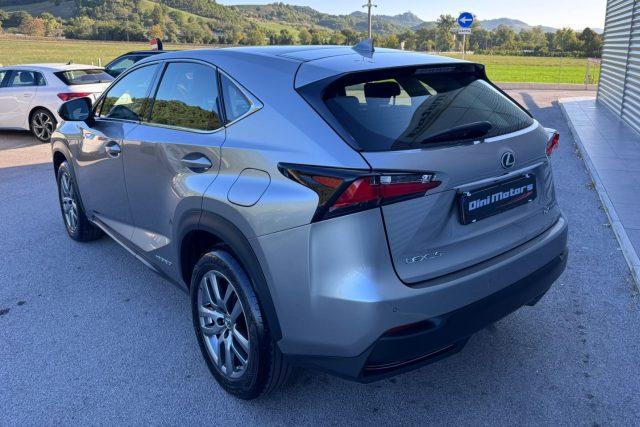 LEXUS NX 300 Hybrid NX300h 4x4 AUTOMATICA AWD 4WD TETTO LED