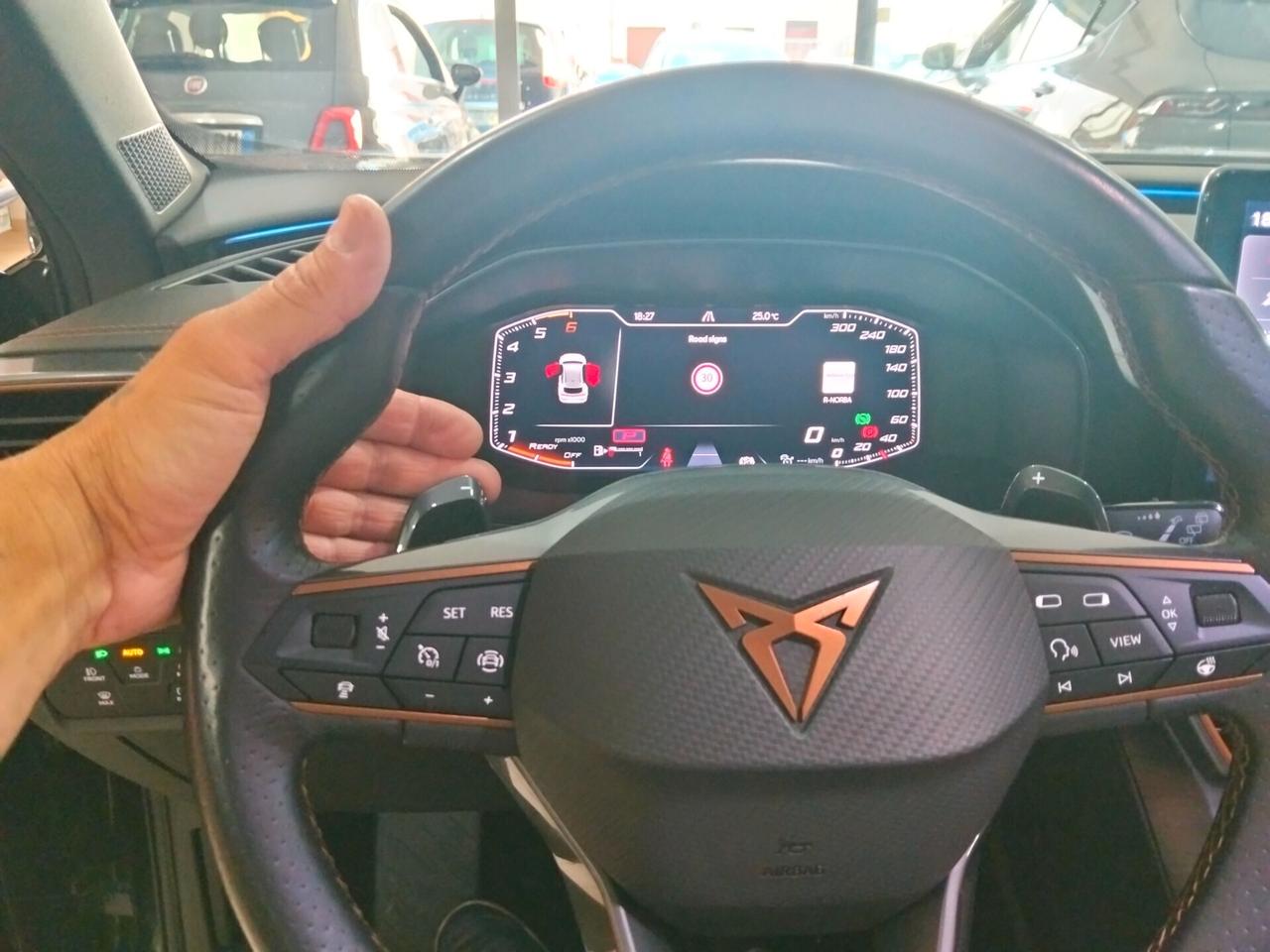 Cupra Formentor 2.0 TDI 4Drive DSG