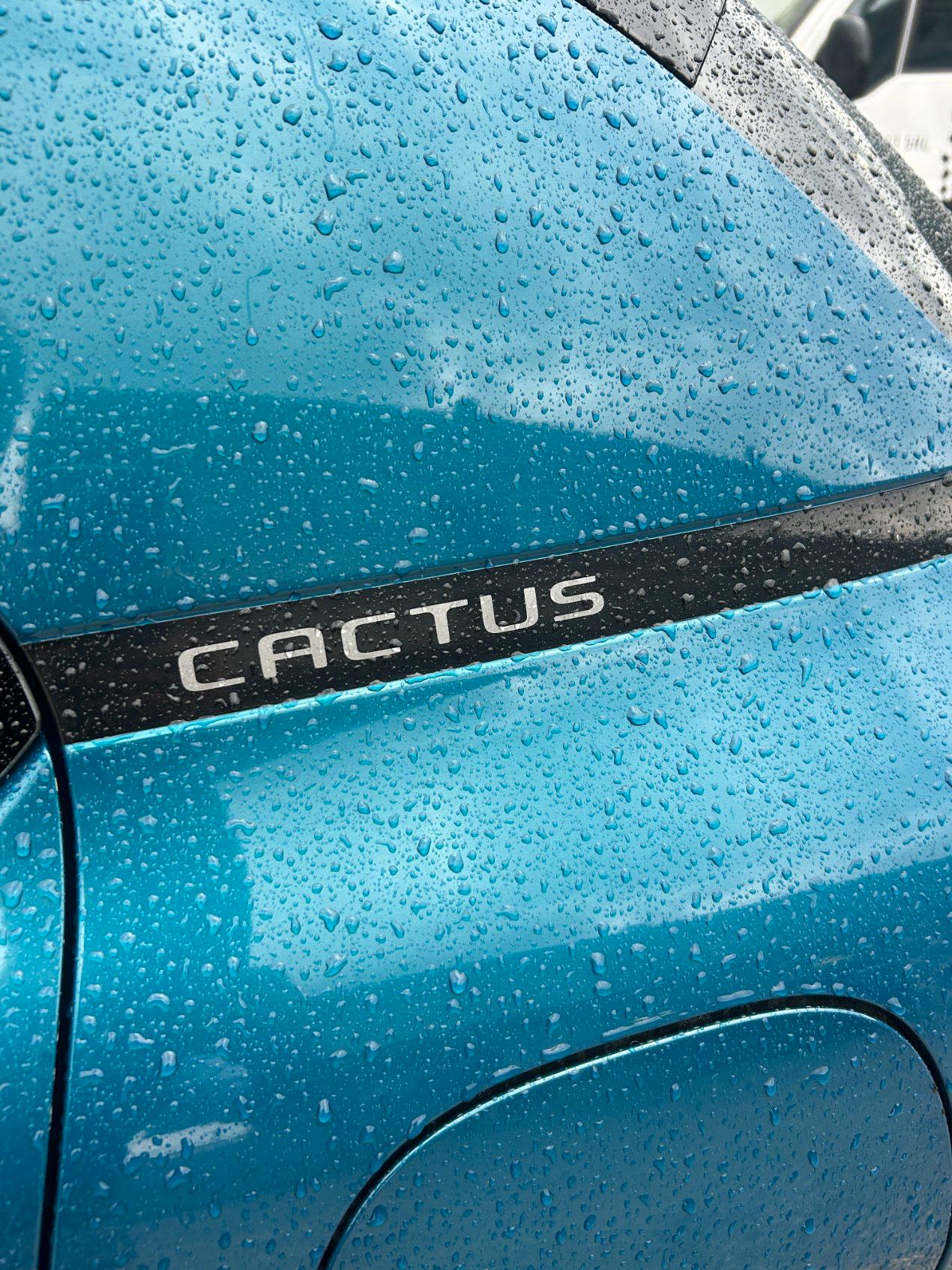 Citroen C4 Cactus 1.2 puretech Shine s&s 110cv my18