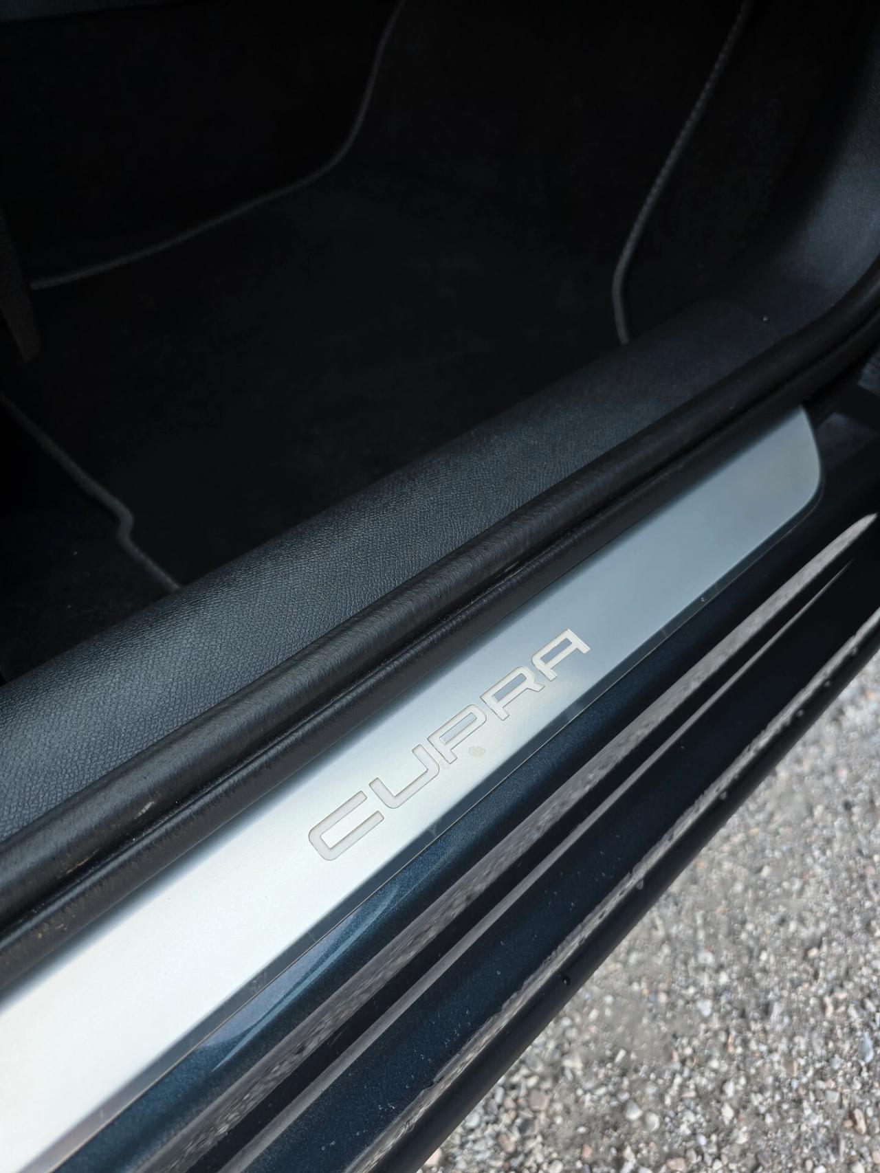 Cupra Formentor 2.0 TDI 4Drive DSG 4x4