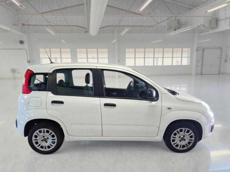 FIAT PANDA 1.2 69 CV SES E6D-TEMP EASY 5 PORTE BERLINA