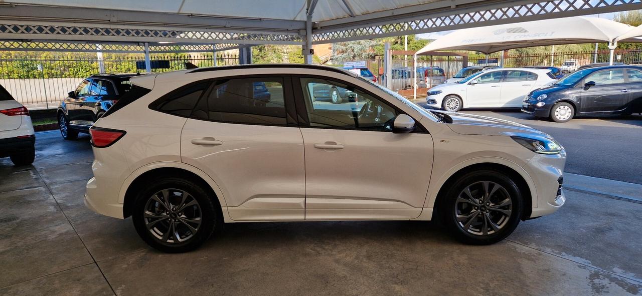 Ford Kuga 1.5 EcoBlue 120cv ST-Line X