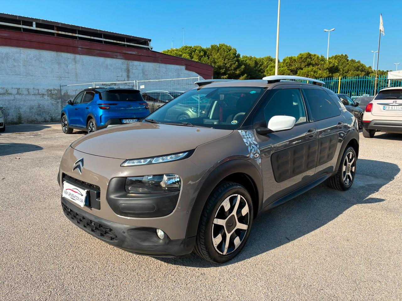 Citroen C4 Cactus BlueHDi 100 Rip Curl