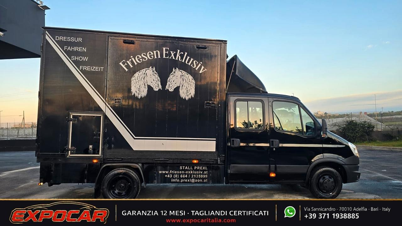 Iveco Daily - Trasporto Cavalli
