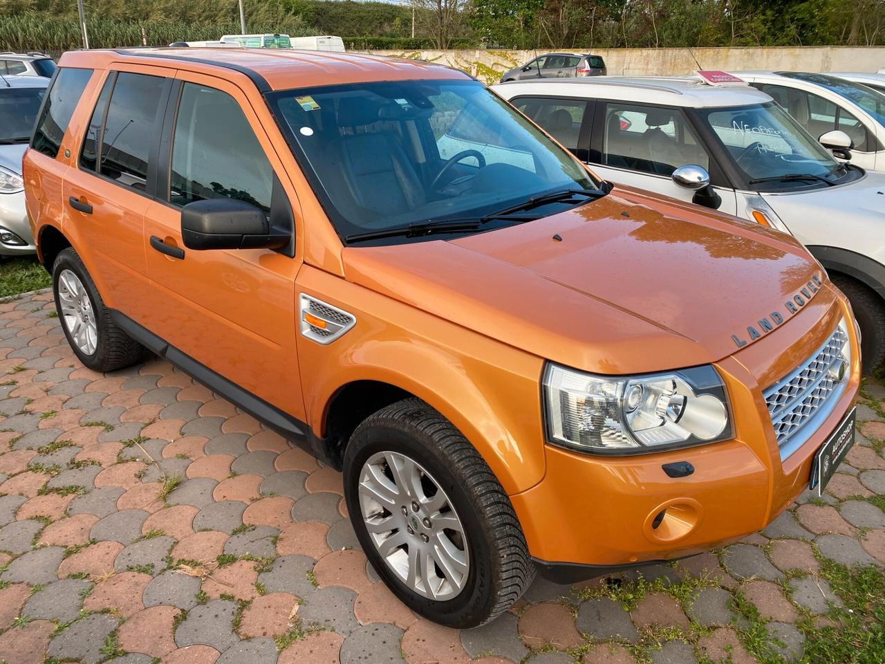 LAND ROVER - Freelander - 2.2 Td4 16V S.W. HSE - FINANZIABILE