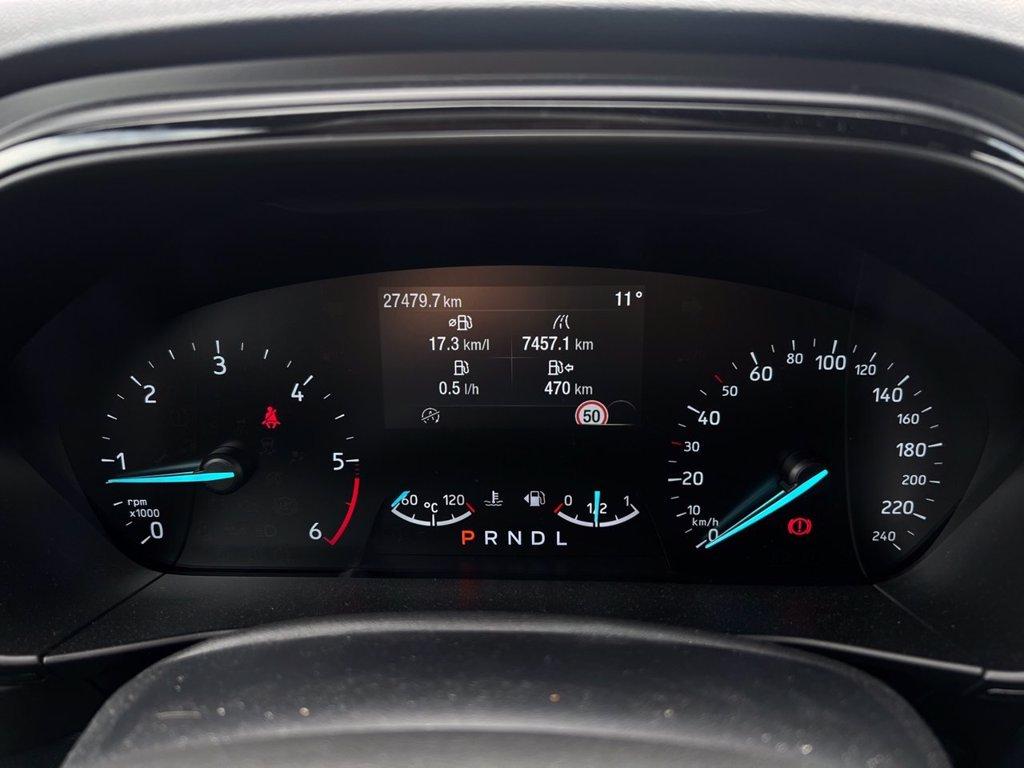 FORD Focus 1.5 EcoBlue 115 CV automatico 5p. ST-Line del 2024