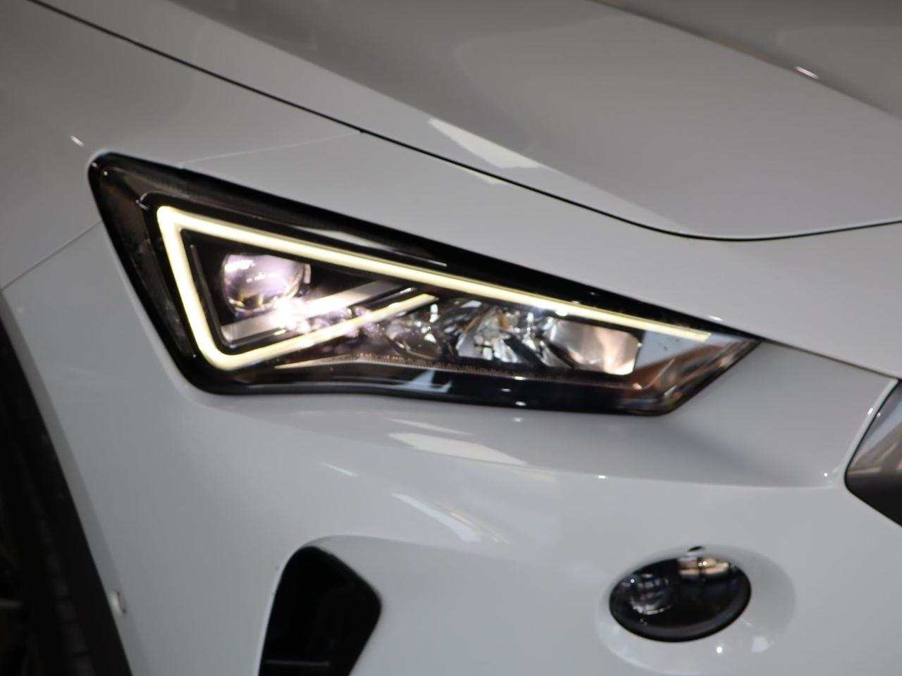 Cupra Formentor Tribe Edition 2.0 TDI #11987