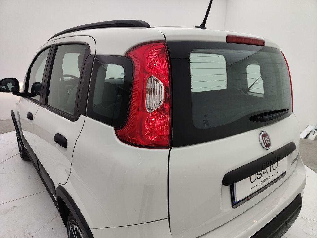 FIAT Panda 3ª serie - Panda 1.0 FireFly S&S Hybrid City Life