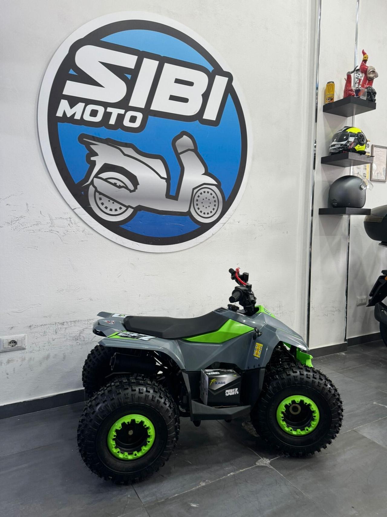 LEM QUAD GRIZZLY 110