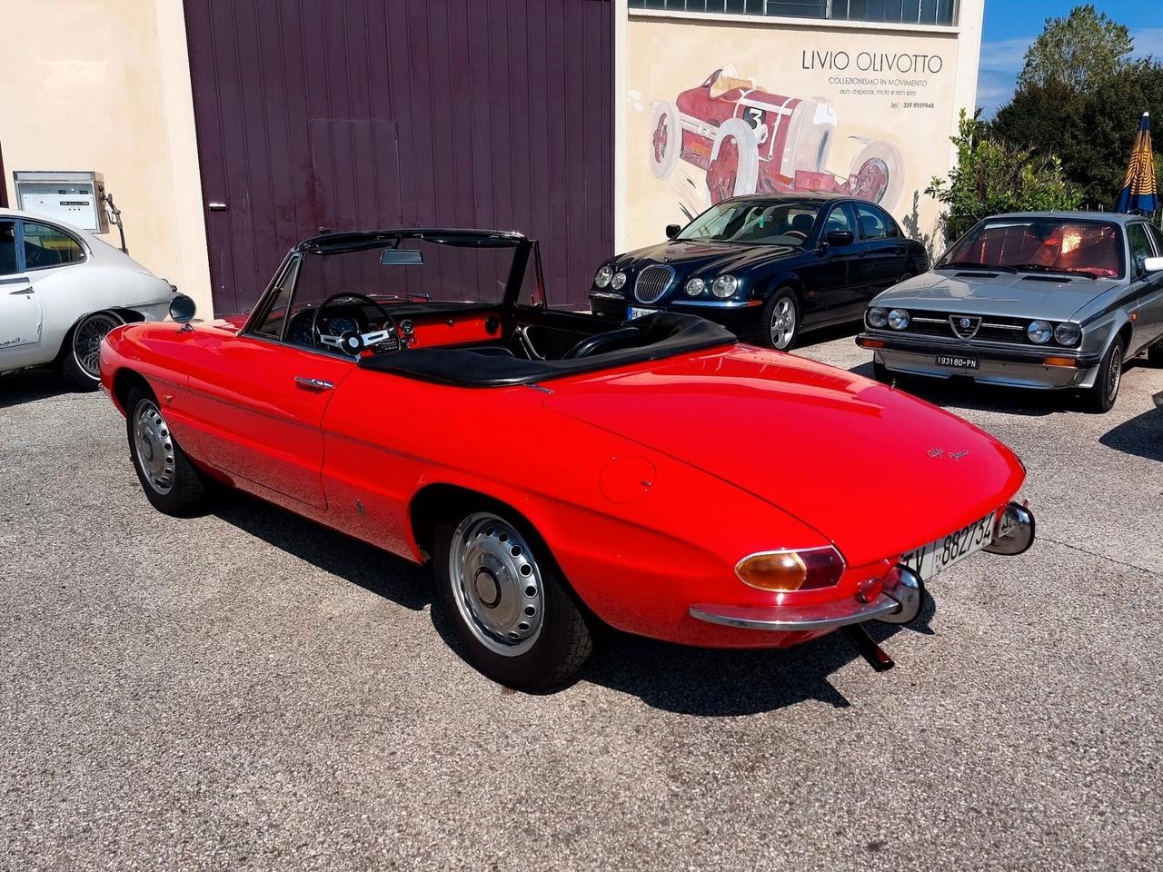 Alfa Romeo Spider Duetto 1600 Osso di Seppia del 1966