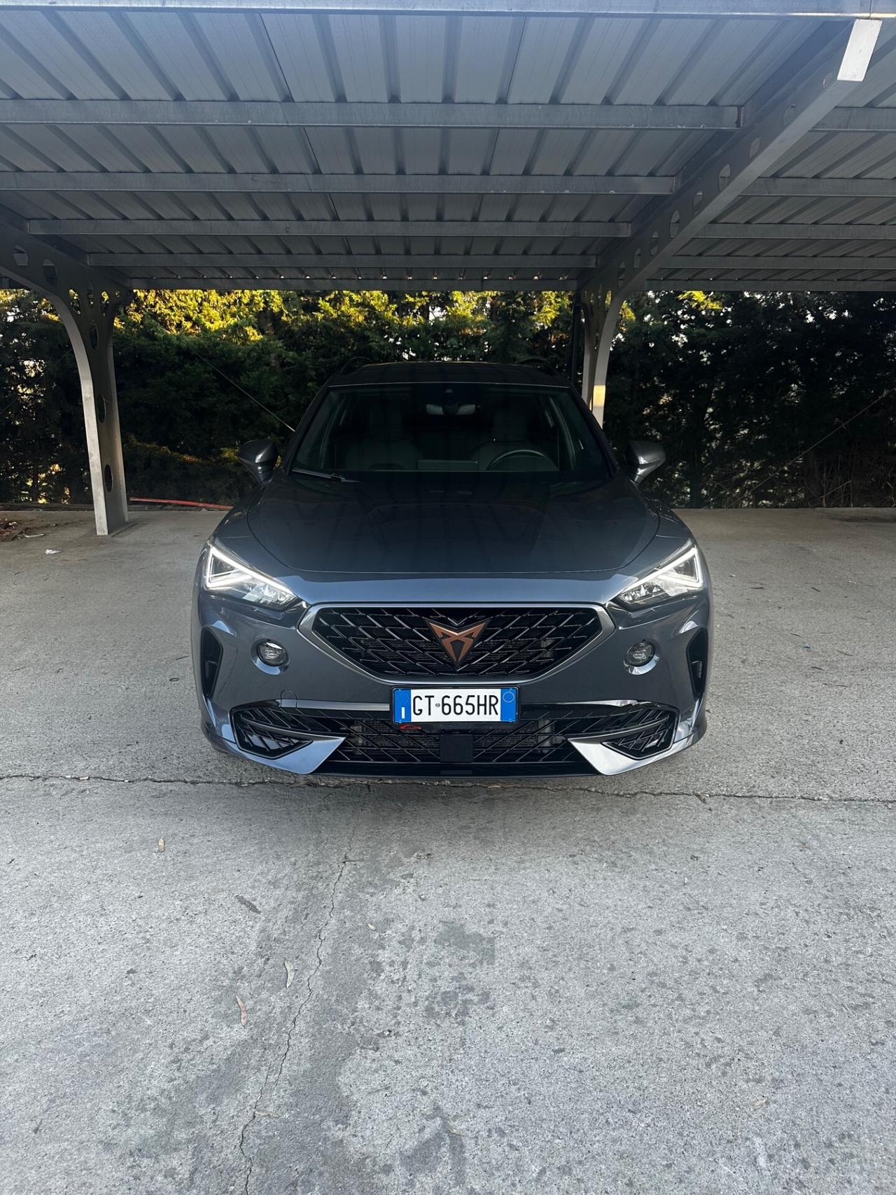 Cupra Formentor 2.0 TDI 4Drive DSG