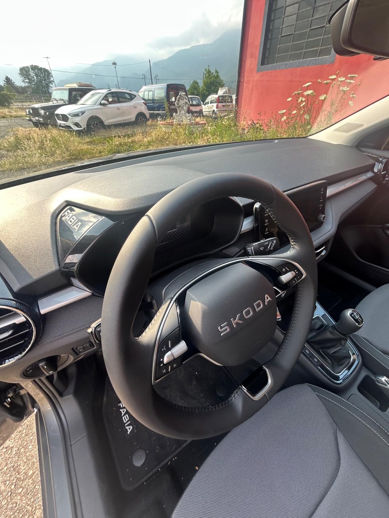 688 Skoda fabia 1.0 Montecarlo del 2025 in saldo