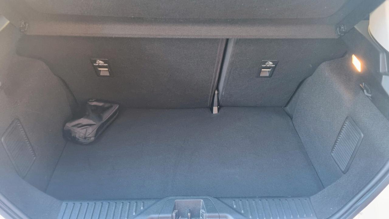 Ford Fiesta 1.1 75 CV GPL 5 porte Titanium