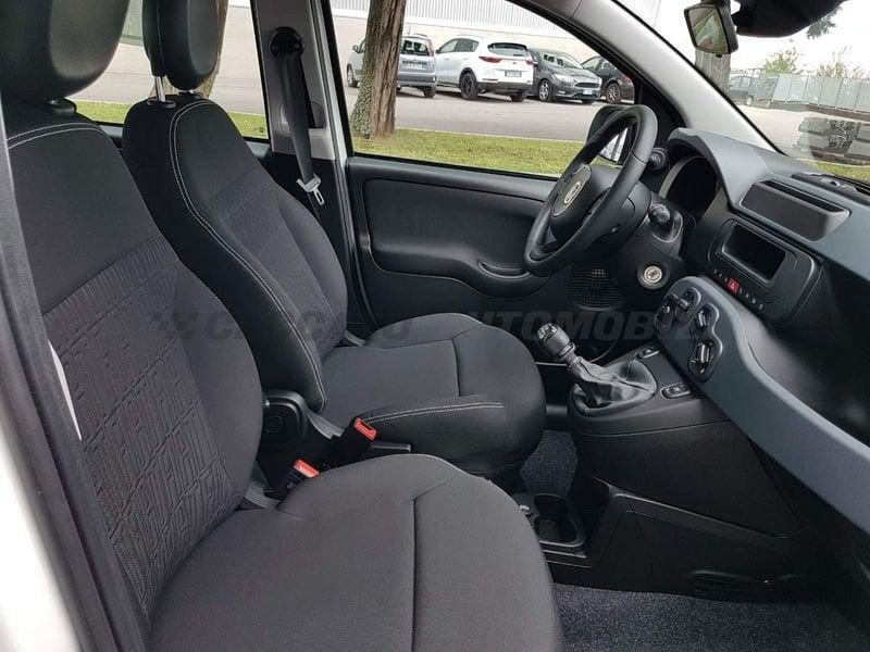FIAT Panda Panda 1.0 firefly hybrid s&s 70cv