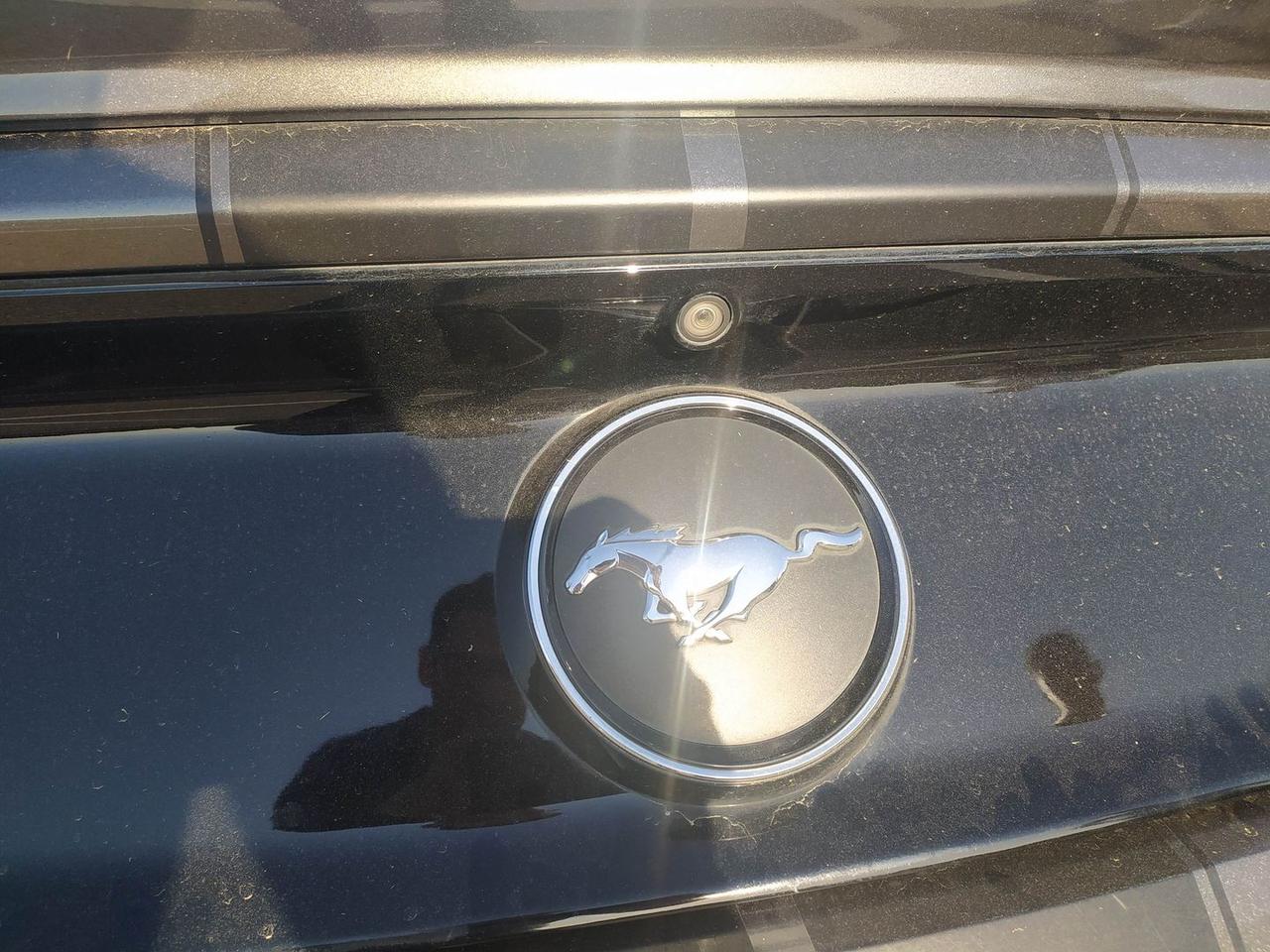 Ford Mustang 2.3 EcoBoost #6892