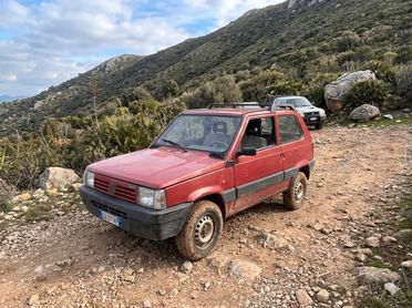 Fiat Panda 1100 i.e. cat 4x4 Trekking GPL