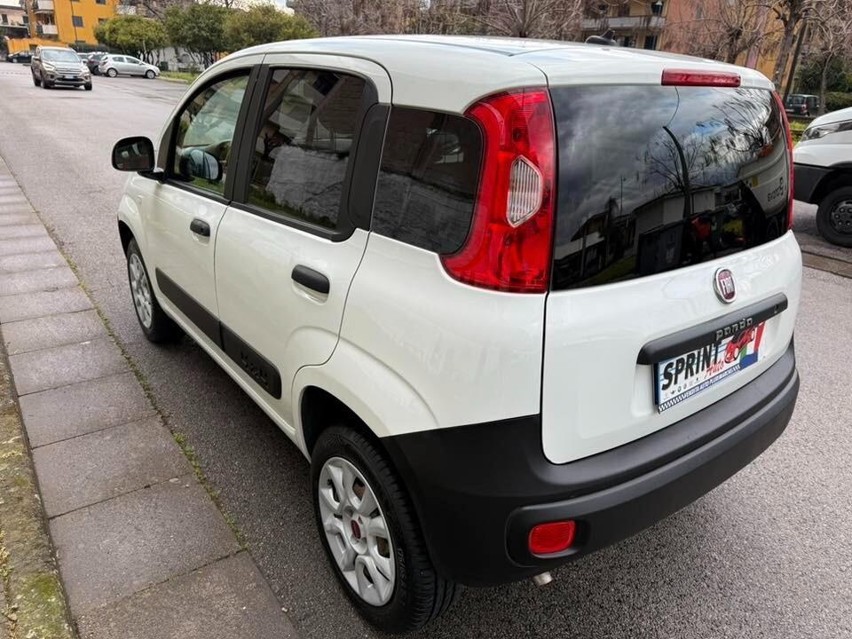 Fiat Panda 4x4 autocarro 2 posti