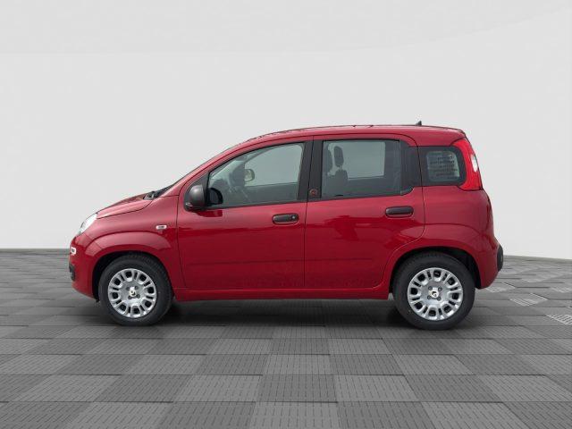 FIAT Panda Pandina 1.0 FireFly 65 CV Hybrid Pop