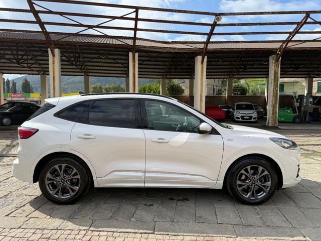 FORD Kuga 1.5 EcoBoost 150 CV 2WD ST-Line X