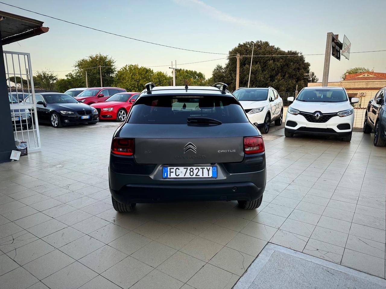 Citroen C4 Cactus BlueHDi 100 S&S Live Garanzia 12 Mesi