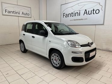 Fiat Panda Easy 1.2 easypower Gpl 69cv-Ok Neopatentati-LEGGI SOTTO