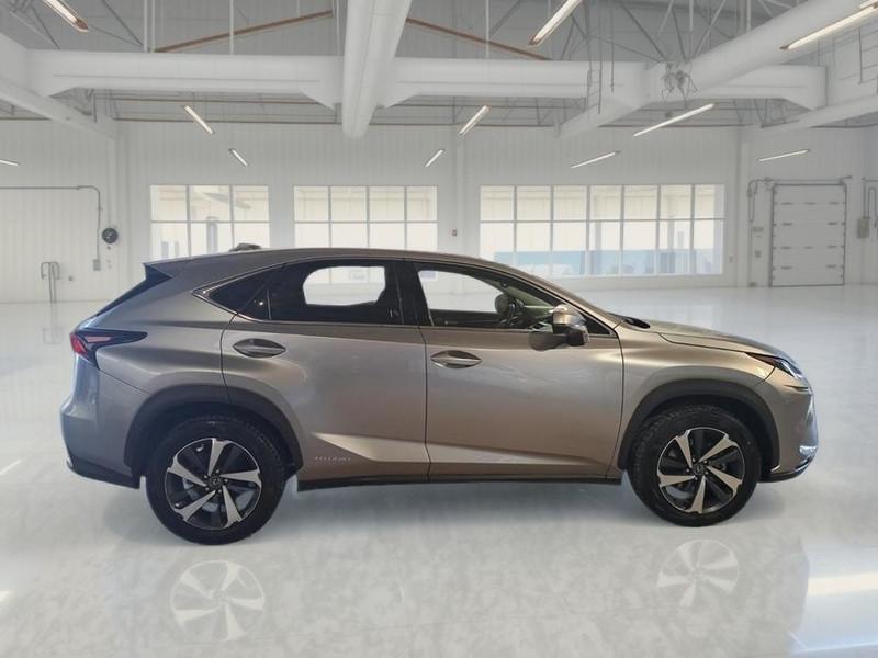 LEXUS NX Hybrid Luxury 4WD