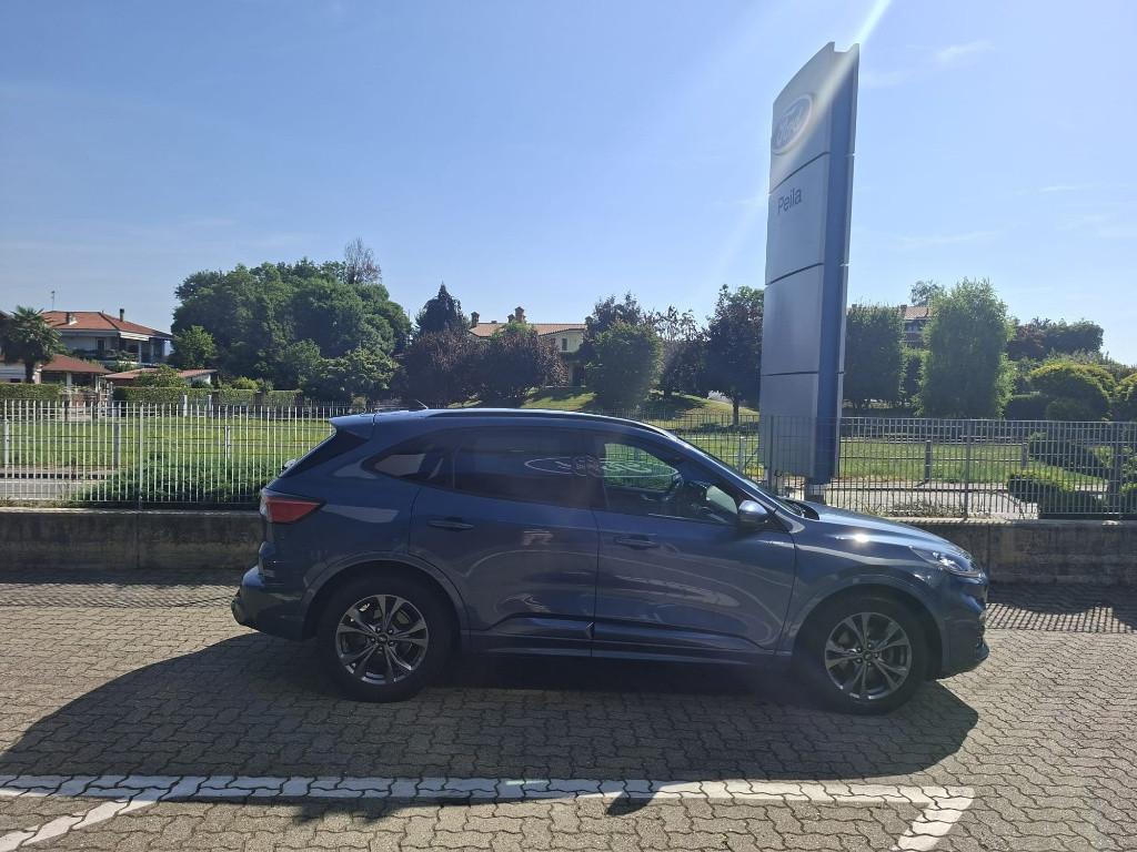 FORD Kuga III 2020 - Kuga 2.0 ecoblue ST-Line X 2wd 120cv auto