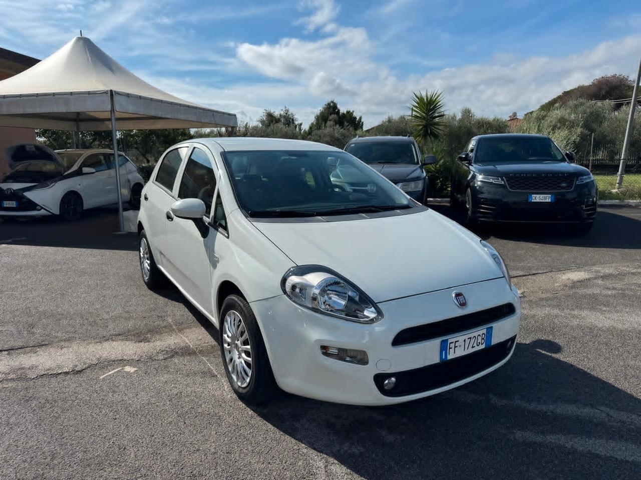 Fiat Punto 1.2 BENZ 5P NEOPATENTATI 2016