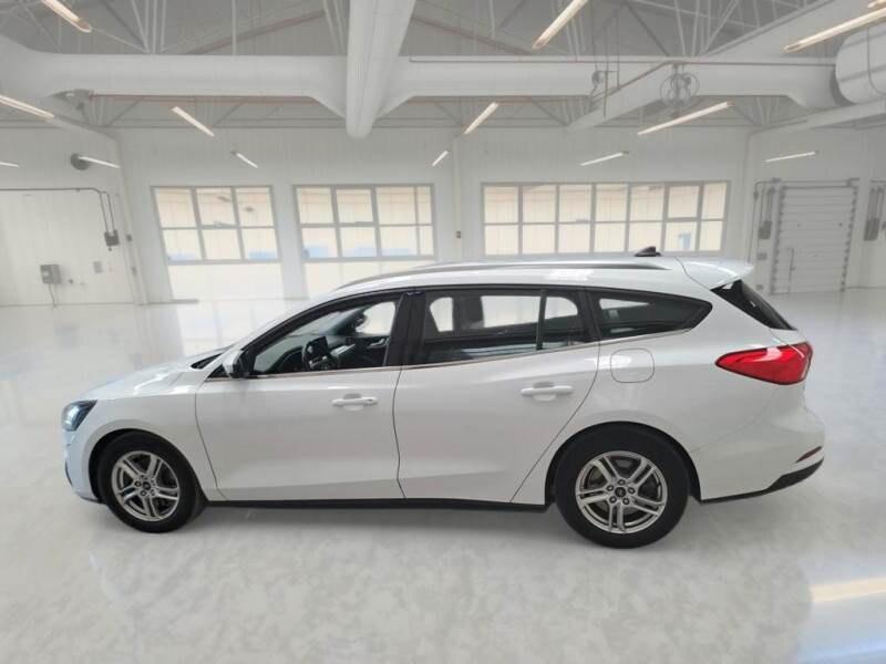 FORD Focus 4ª serie Focus 1.5 EcoBlue 120 CV a...