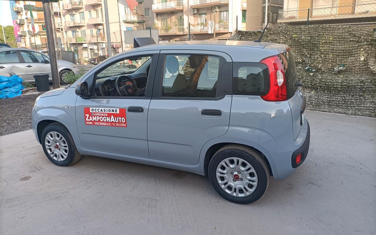 Fiat Panda 1.0 FireFly S&S Hybrid 2021 ZAMPOGNAUTO CT