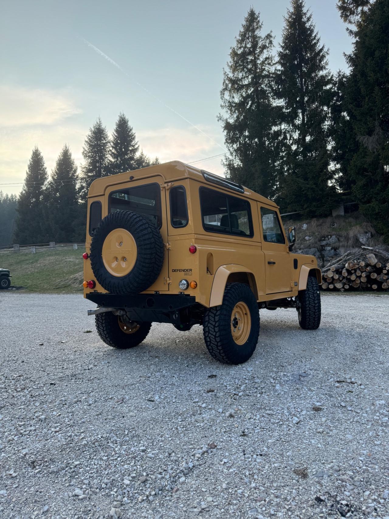 Land Rover Defender 90 2.5 Td5 Station Wagon