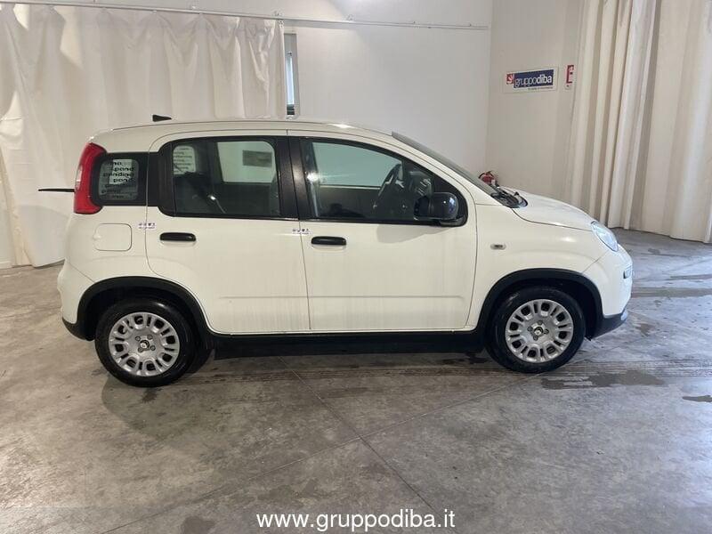 FIAT Panda III 2024 1.0 firefly hybrid s&s 70cv
