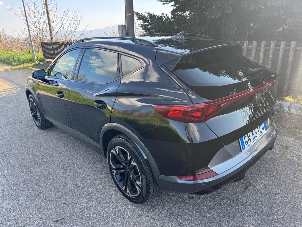 Cupra Formentor 2.0 TDI 4Drive DSG