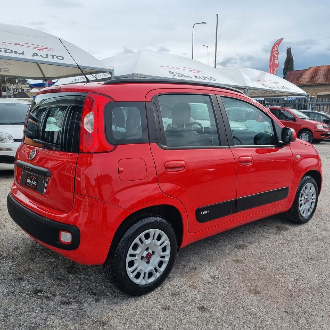FIAT PANDA 1.2 BENZINA -- 1.3 MULTIJET VARI COLORI