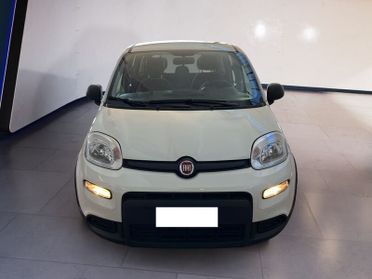 FIAT Panda My24 1.0 70cv Hybrid Panda