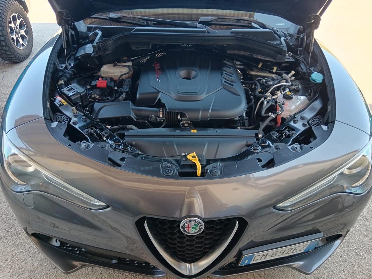 Alfa Romeo Stelvio 2.2 Turbodiesel 190 CV AT8 Q4 Business
