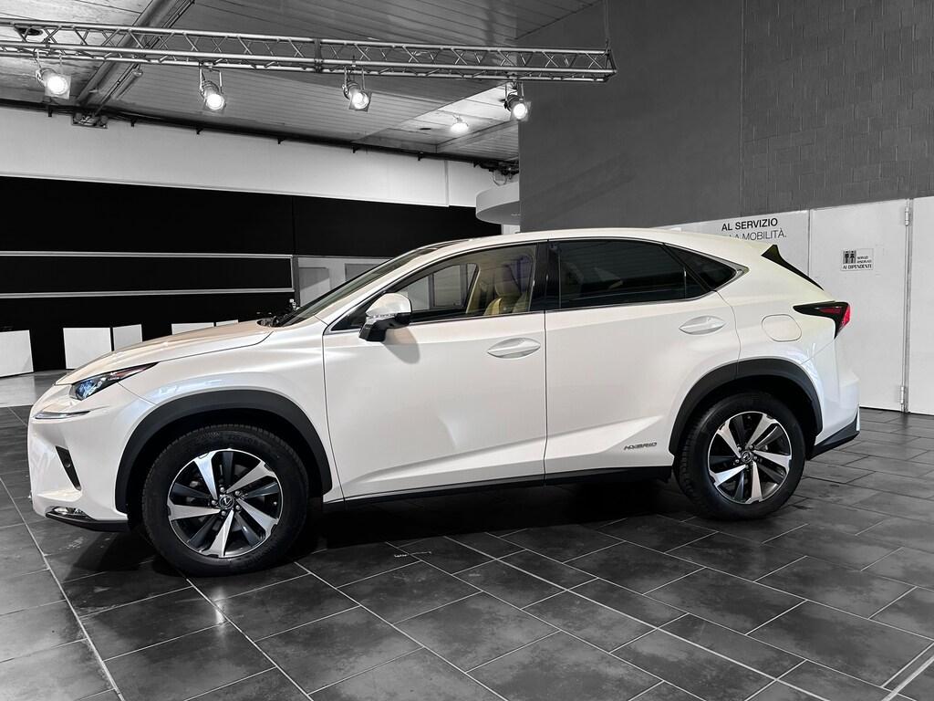 Lexus NX 300 300 2.5 Hybrid Luxury 4WD CVT