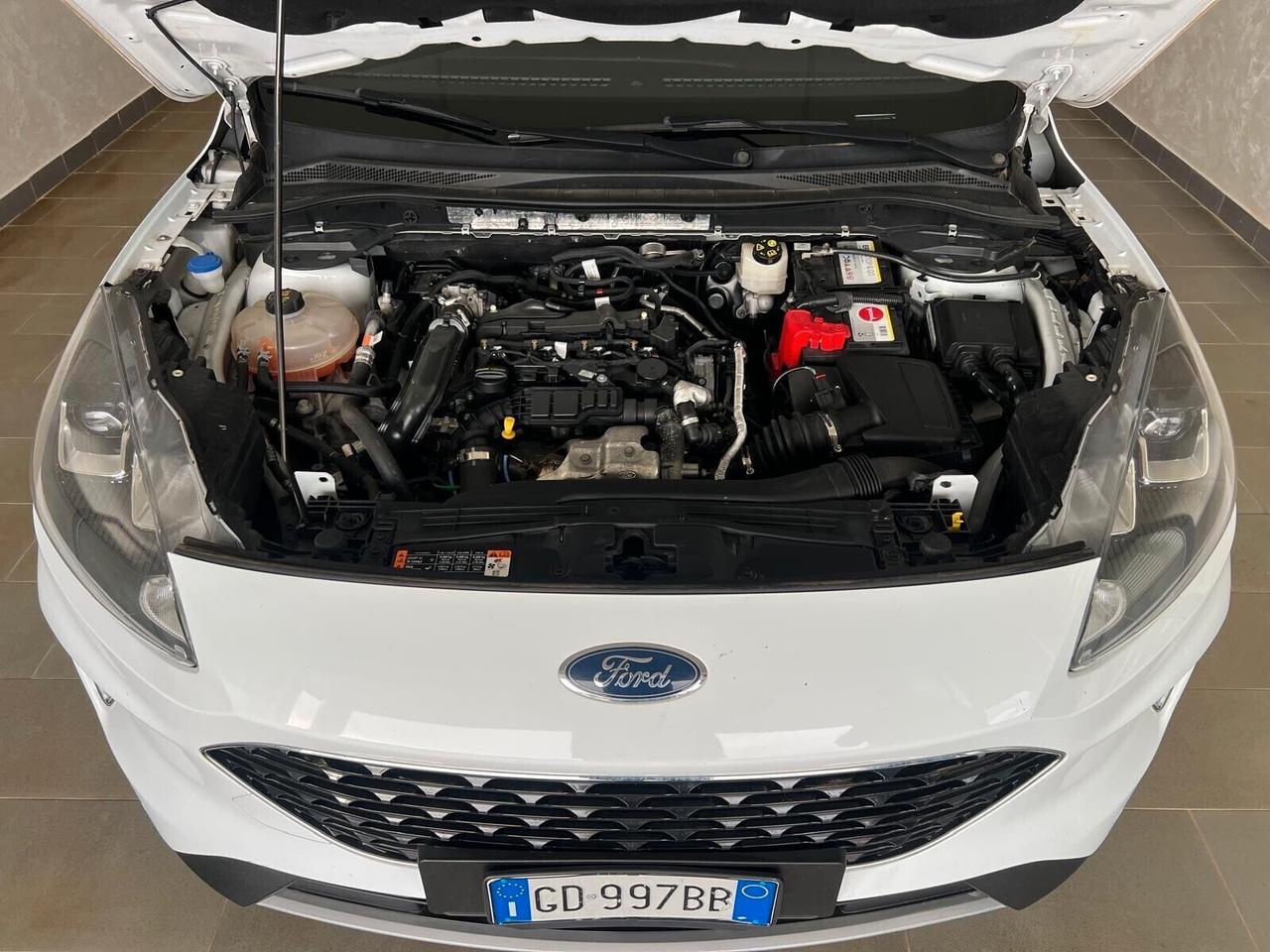 Ford Kuga 1.5 EcoBlue 120 CV 2WD Titanium