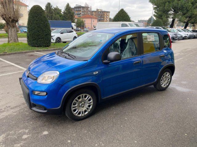 FIAT Panda 1.0 FireFly S&S Hybrid Pandina